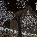 Foto04