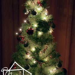 Belen y Arbol 6-01-14