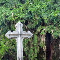 Foto03