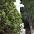 Foto10