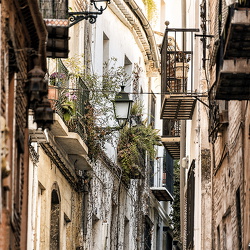 Granada Calles 28-02-19