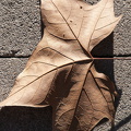 Foto05