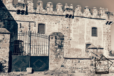 Foto08