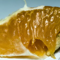 Foto04