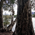 Foto10