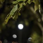 Foto10