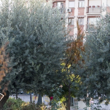 Foto06