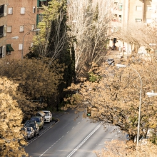 Foto05
