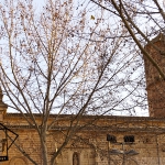 Linares (I)