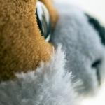 Macro