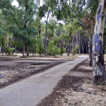 Pantano Cubillas