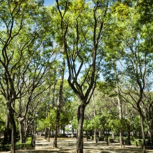 Foto03
