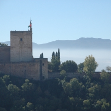 31-2008